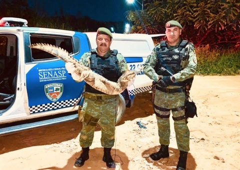 Batalhão Ambiental bate recorde de resgate de animais silvestres em 2020