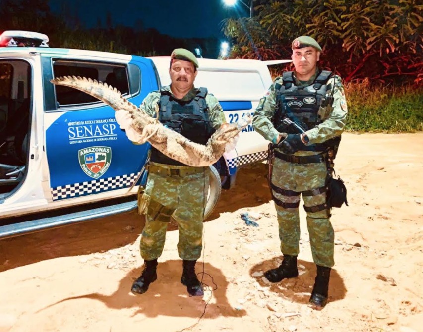 Batalhão Ambiental bate recorde de resgate de animais silvestres em 2020