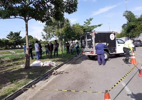 Adolescente morre após colidir com árvore ao empinar moto Manaus