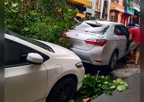 Vídeos: Temporal e ventania deixam rastro de destruição em Manaus