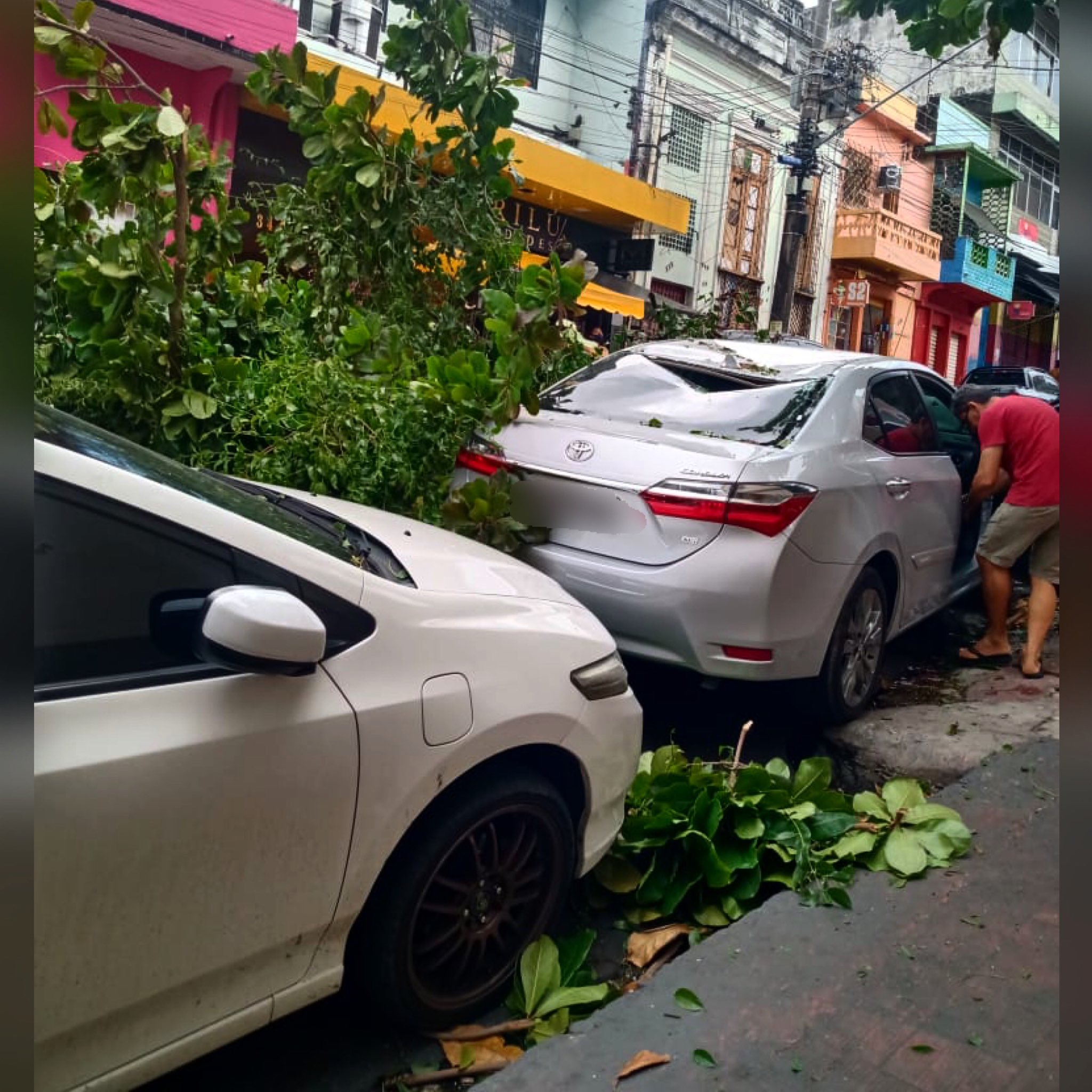Vídeos: Temporal e ventania deixam rastro de destruição em Manaus