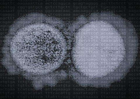 18 variantes do coronavírus já circularam pelo Amazonas, revela análise