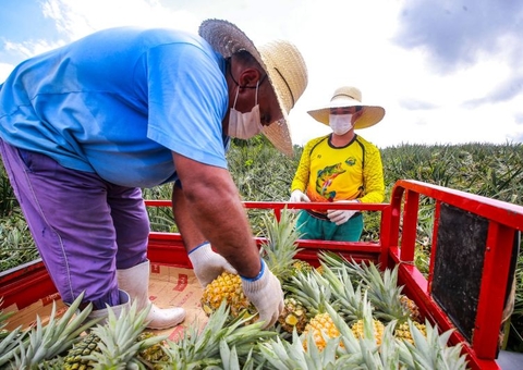 Agronegócios têm participação de quase 6% no PIB do Amazonas