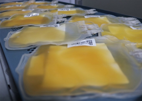 Hemoam quer plasma de recuperados da Covid para cura de internados no AM