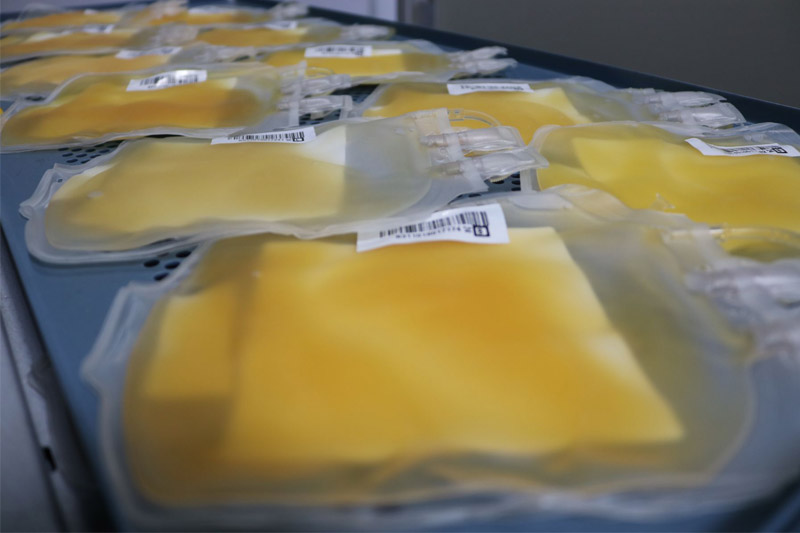 Hemoam quer plasma de recuperados da Covid para cura de internados no AM