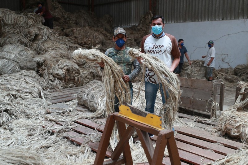 Amazonas paga R$ 3,6 milhões de subvenção a produtores de juta e malva