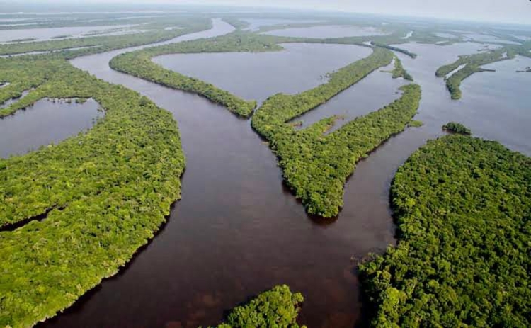 Congresso derruba vetos à lei da regularização de terras na Amazônia