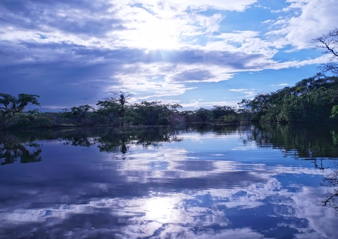 Biden tem promessa de incentivar a preservação da Amazônia