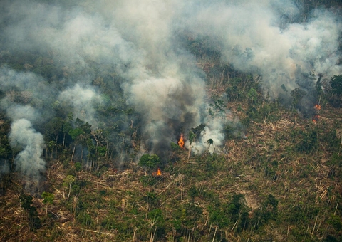 As destruições na Amazônia e Cerrado são investigadas em comissão
