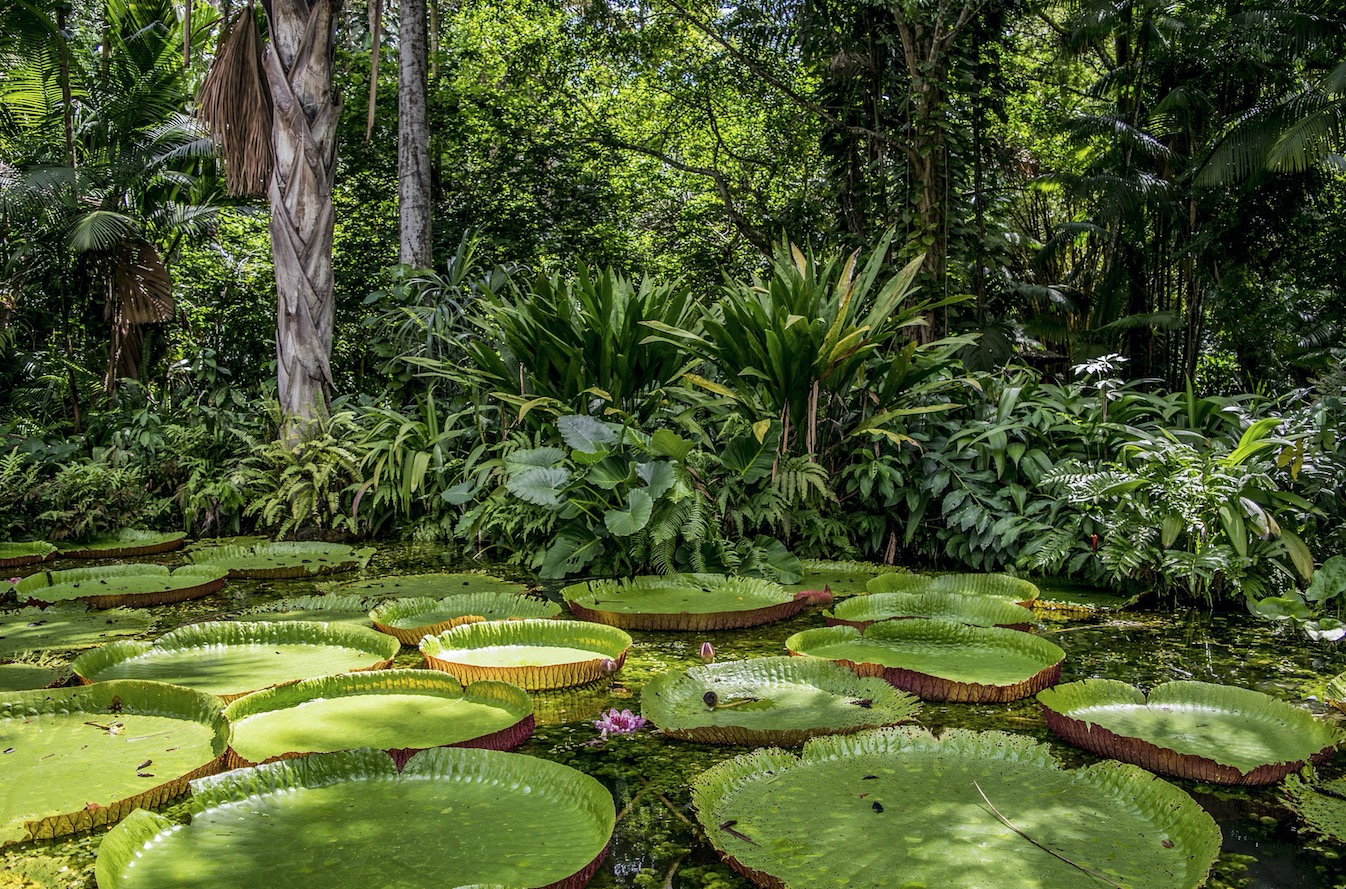Brasil reativa o Parlamento Amazônico ao lado de oito países