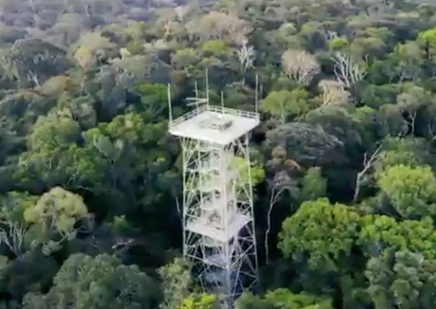 Museu da Amazônia está com dificuldades financeiras por conta da pandemia