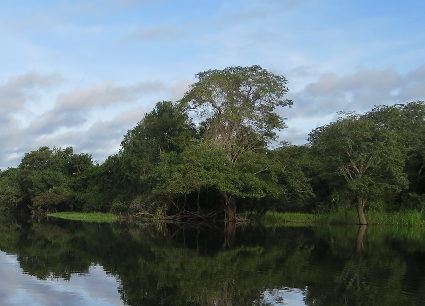 Projeto que ajudará pecuaristas da Amazônia com legalização ambiental