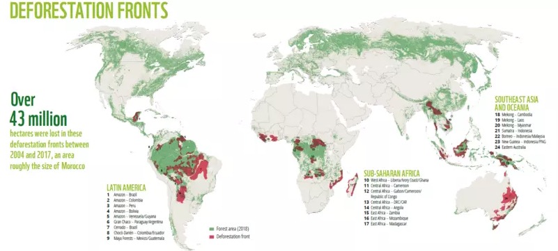 Segundo WWF, Brasil foi culpado de 43% do desmatamento entre 2004 e 2017