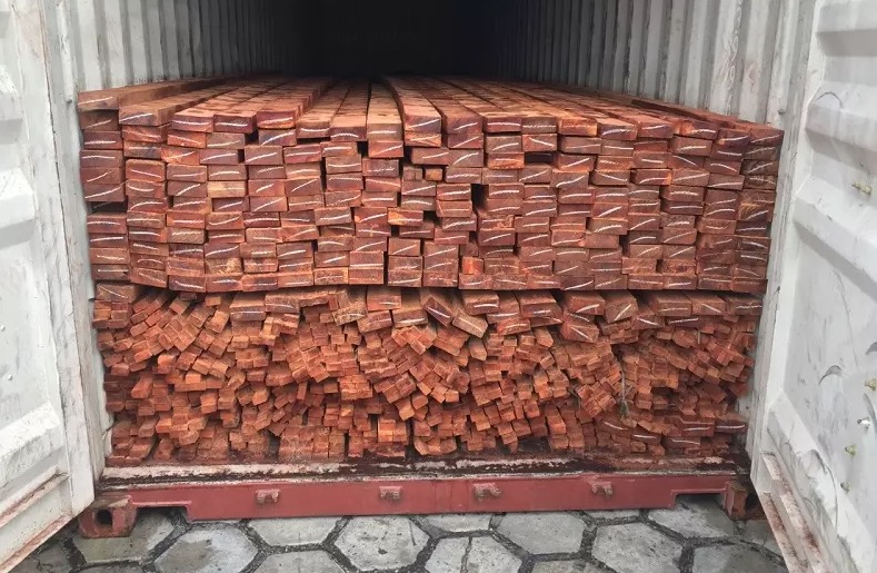 PF combate desmatamento ilegal na Amazônia