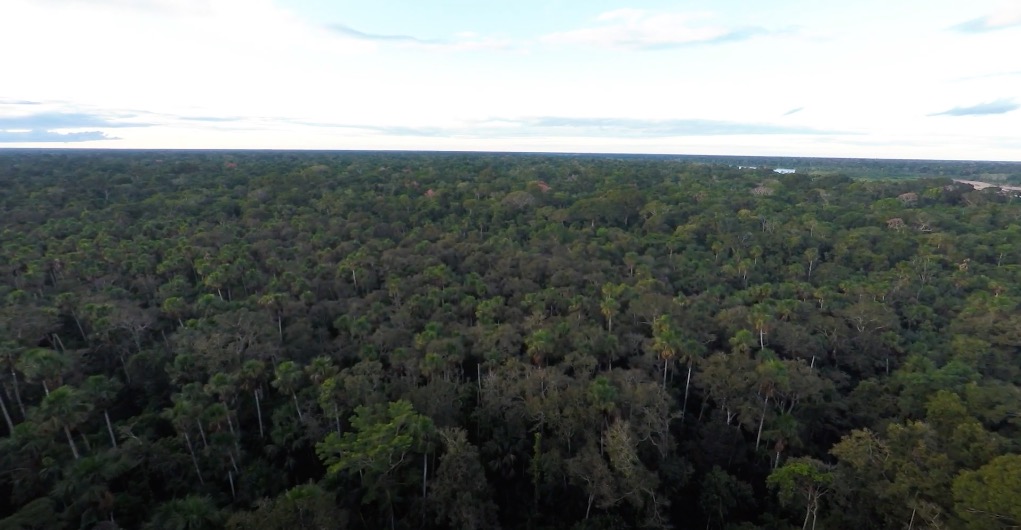 Indígenas sofrem consequências do garimpo ilegal na Amazônia