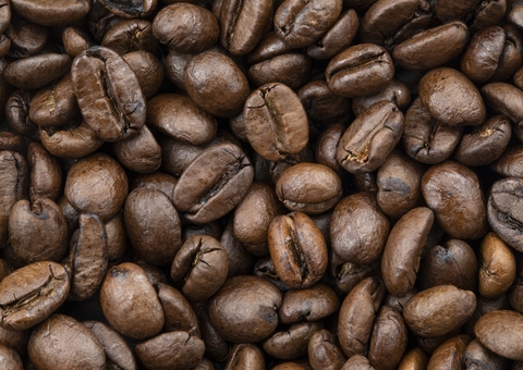 O café é a resposta contra o avanço da pecuária na Amazônia