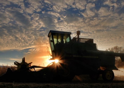Importar soja do Brasil é aceitar o desmatamento da Amazônia, diz Macron