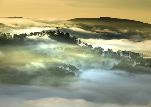 A destruição da Amazônia causou falta de rios voadores