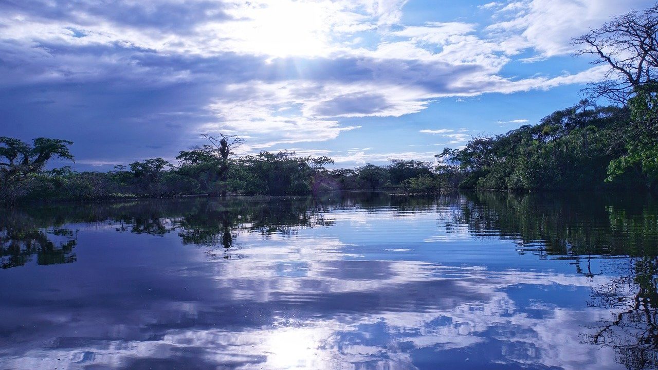 Homem que havia sumido em floresta é resgatado desorientado no Amazonas