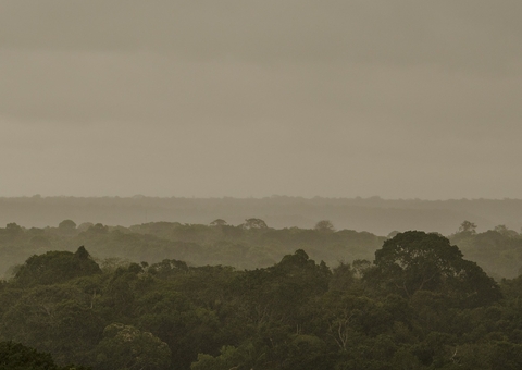 Mourão defende novo modelo de desenvolvimento para a Amazônia