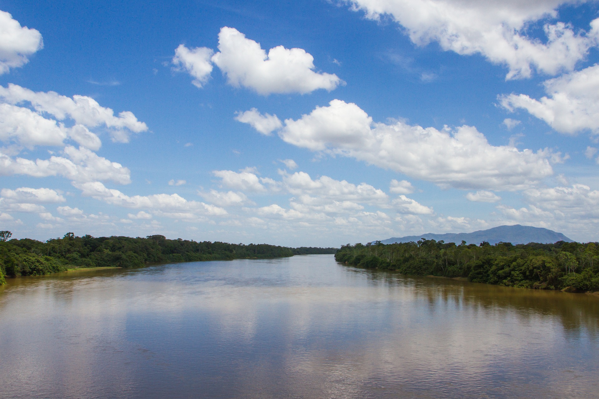 AGU comemora resultados da Força-Tarefa em Defesa da Amazônia