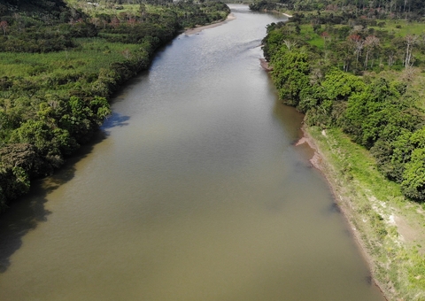Locais raros surgem na “terra escura” na Amazônia após fenômenos naturais