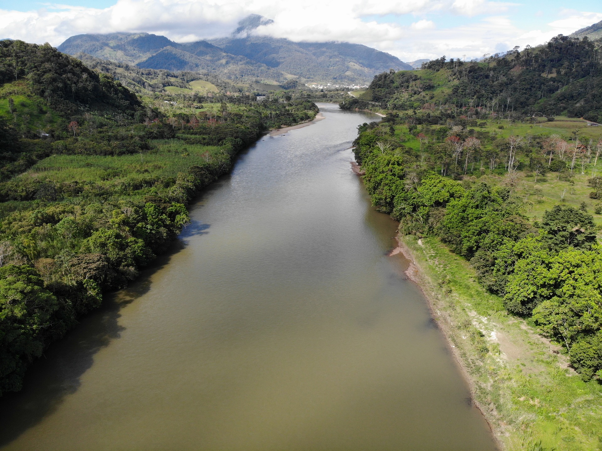 Locais raros surgem na “terra escura” na Amazônia após fenômenos naturais