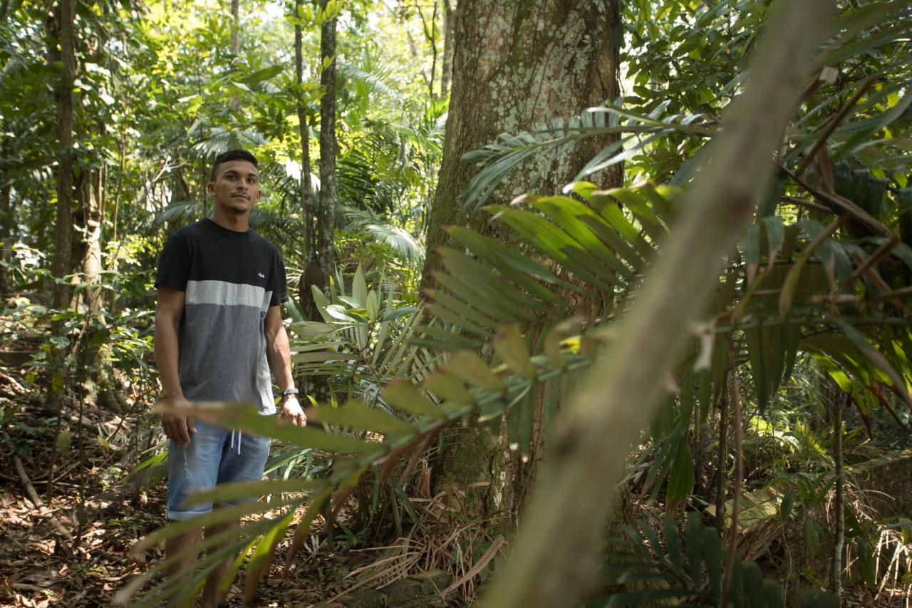 Projeto promove educação ambiental e conservação da Floresta Amazônica