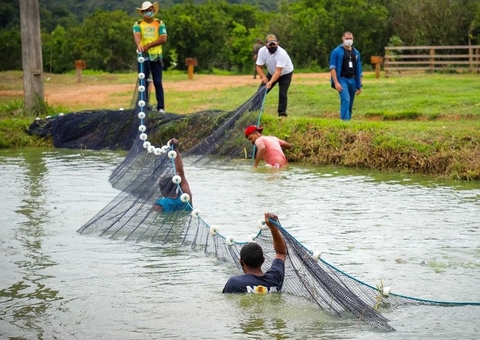 Missão diplomática visita área de regularização fundiária na Amazônia