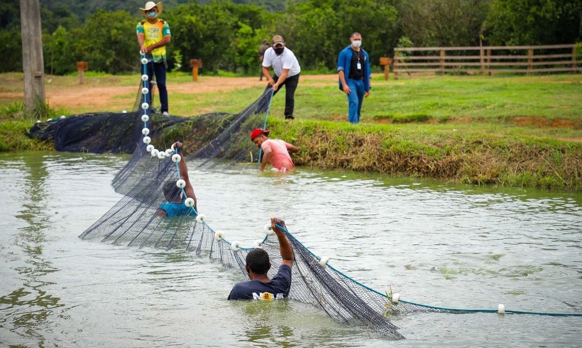 Missão diplomática visita área de regularização fundiária na Amazônia