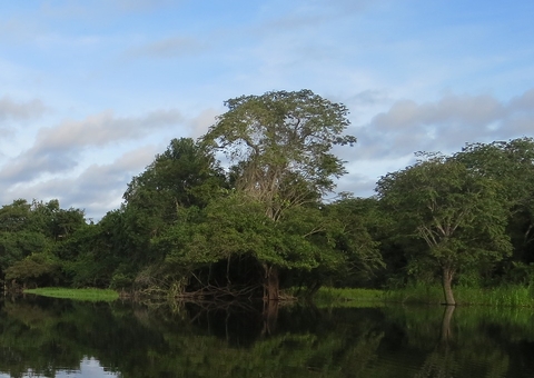 Projeto que ajudará pecuaristas da Amazônia com legalização ambiental