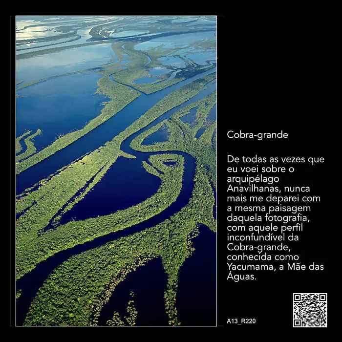 Exposição de fotos de Leonid Principe em Belém mostra ecossistema amazônico