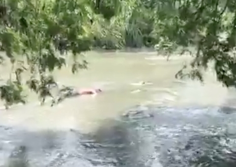 AO VIVO: Corpo é encontrado boiando em igarapé de Manaus