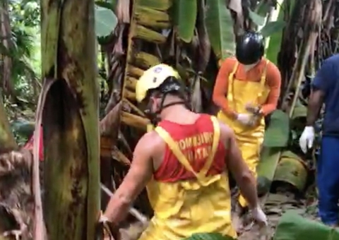 AO VIVO: Corpo é encontrado enterrado em área de mata de Manaus; assista