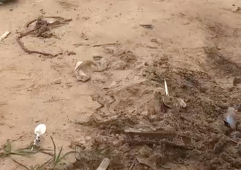 AO VIVO: Restos cadavéricos são encontrados no Porto de Manaus; ASSISTA