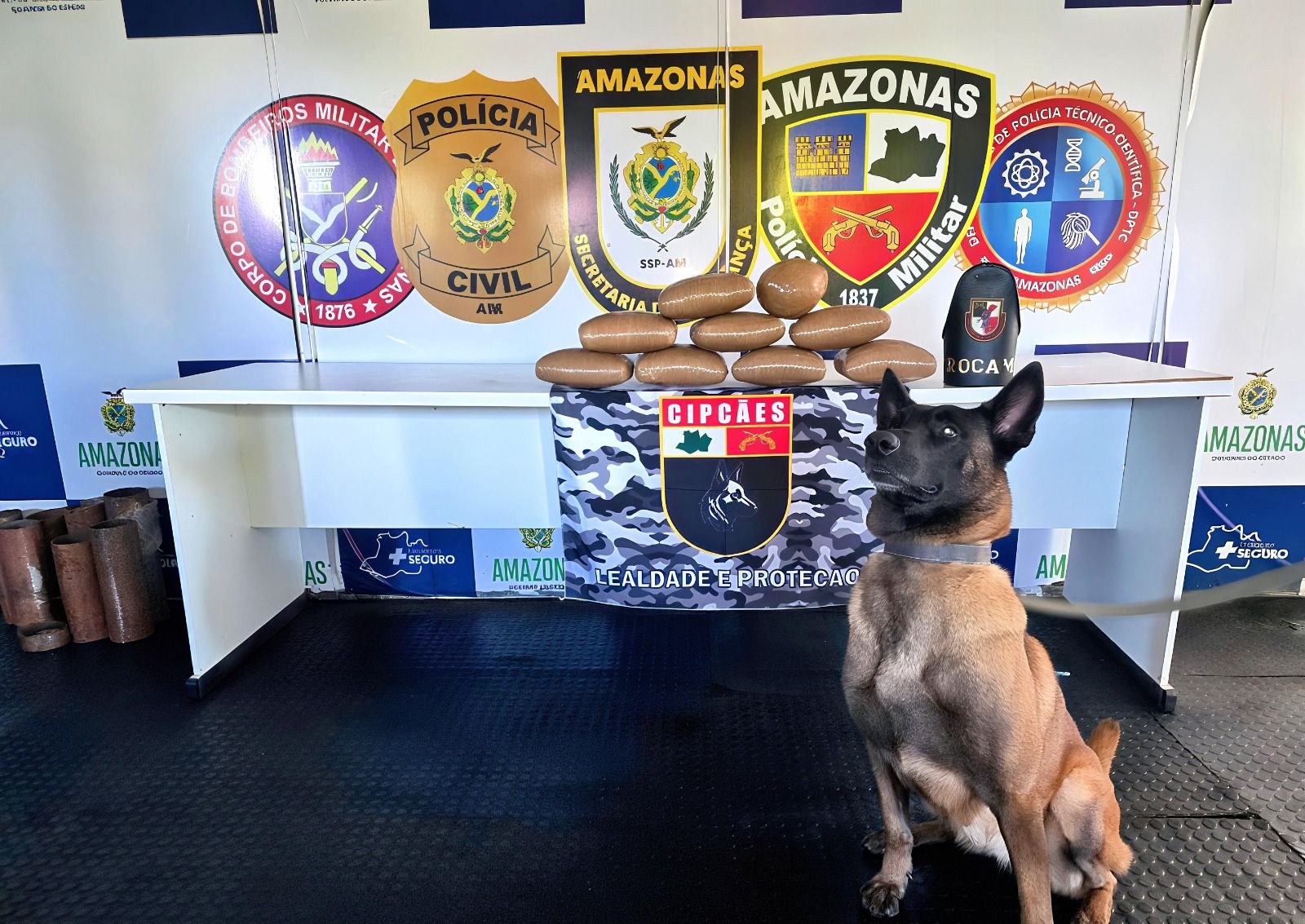 Em duas ações, PM apreende mais de 26 quilos de drogas no Amazonas