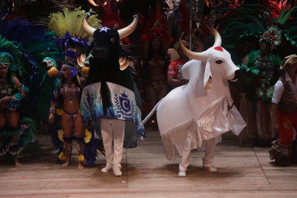 Governo injeta 10 milhões no Festival Folclórico de Parintins; confira data