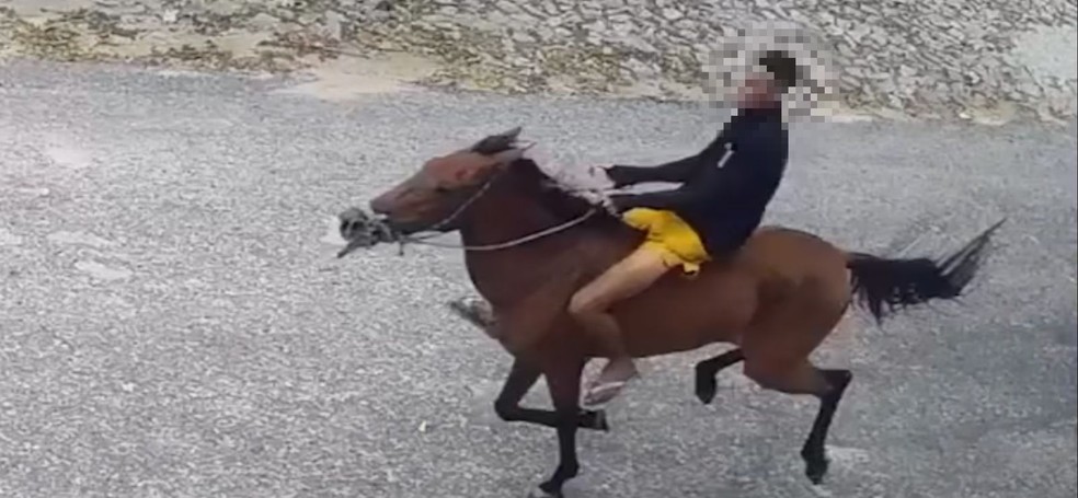 Homem em cavalo faz arrastão em paradas de ônibus