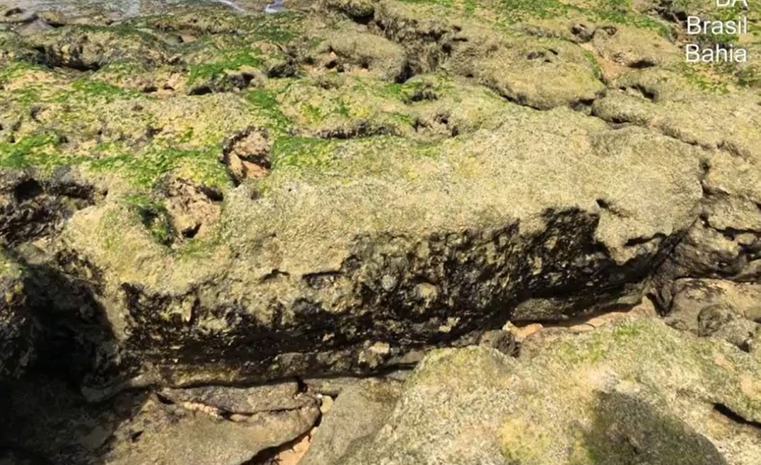 Manchas de óleo voltam a surgir em praia no litoral do Brasil 