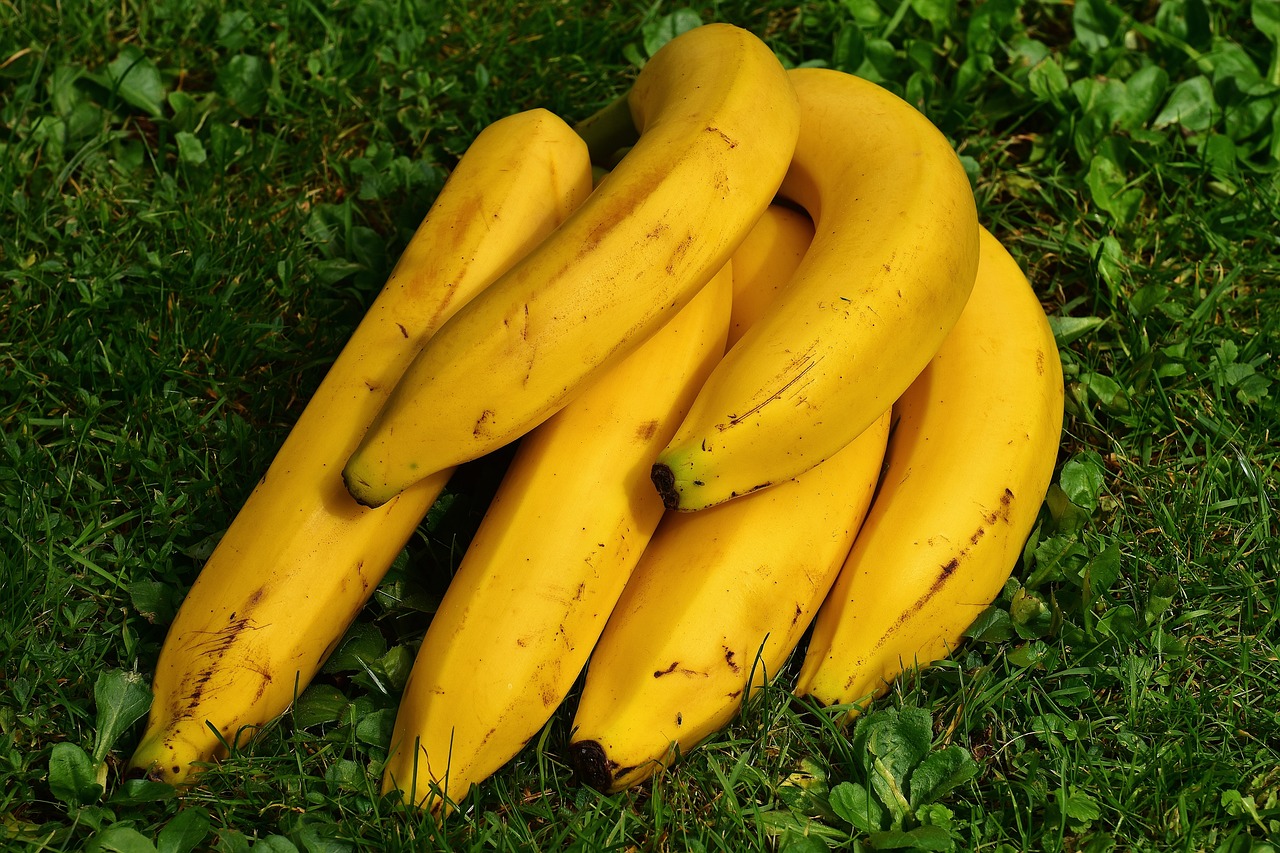 O que acontece com o corpo quando se come banana todo dia ?