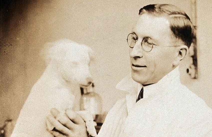 Experiência com cães marcou descoberta da insulina