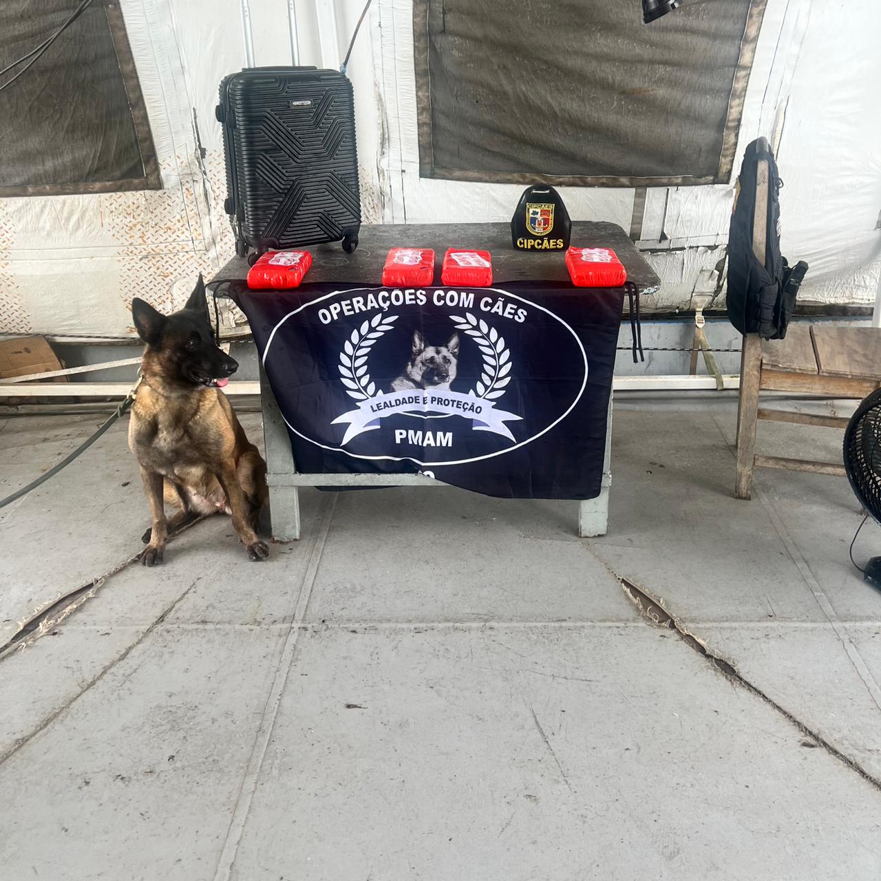 Base Arpão: PM apreende cocaína com auxílio de cão policial em Coari