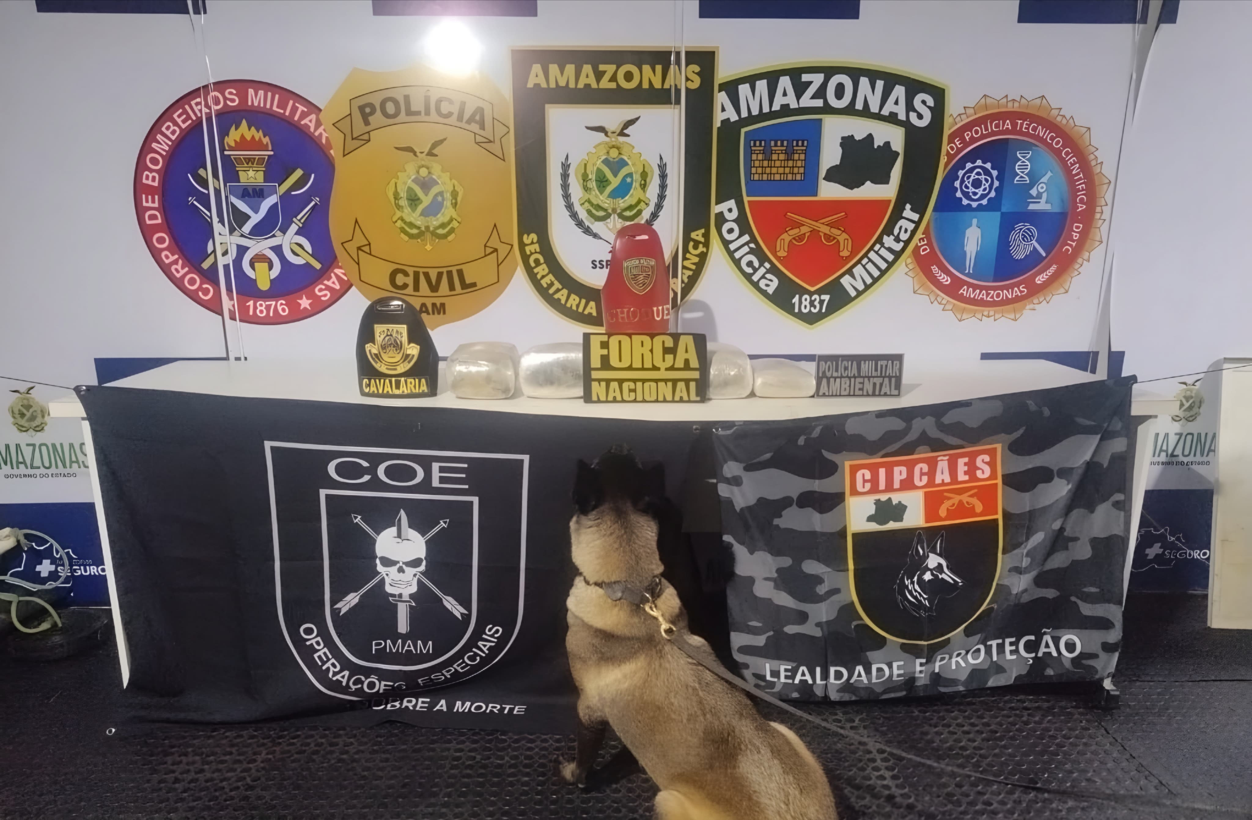 Cadela policial encontra drogas escondidas em saca da farinha no Amazonas