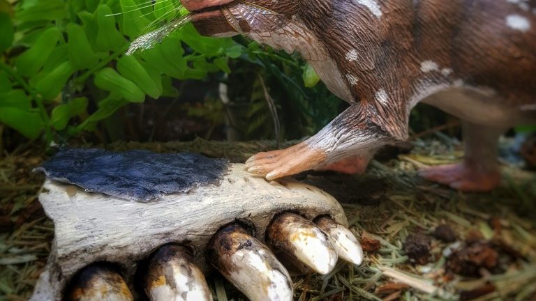 Pesquisadores descobrem fóssil de mamífero de 74 milhões de anos