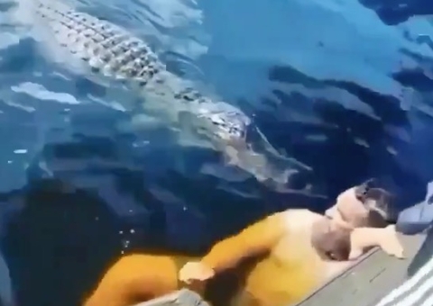 Vídeo: Crocodilo ignora selfie e tenta 'petiscar' turista