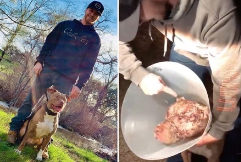 Homem luta com urso para salvar cachorro de ataque