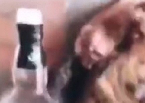 Grupo grava vídeo forçando galinha a tomar chopp; ave morreu