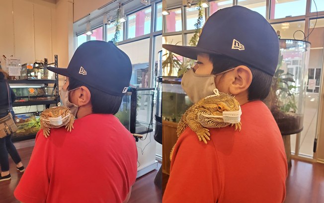 Menino viraliza na web ao colocar máscara em lagarto de estimação