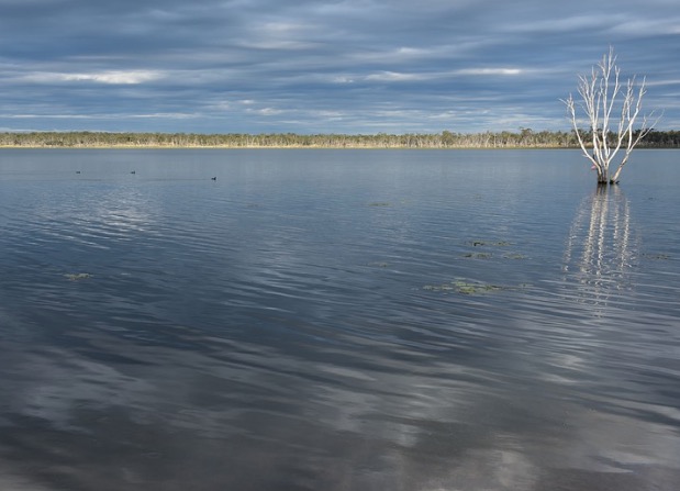 Menino morre ao nadar em rio e contrair ameba comedora de cérebro