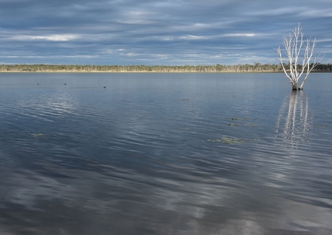 Menino morre ao nadar em rio e contrair ameba comedora de cérebro